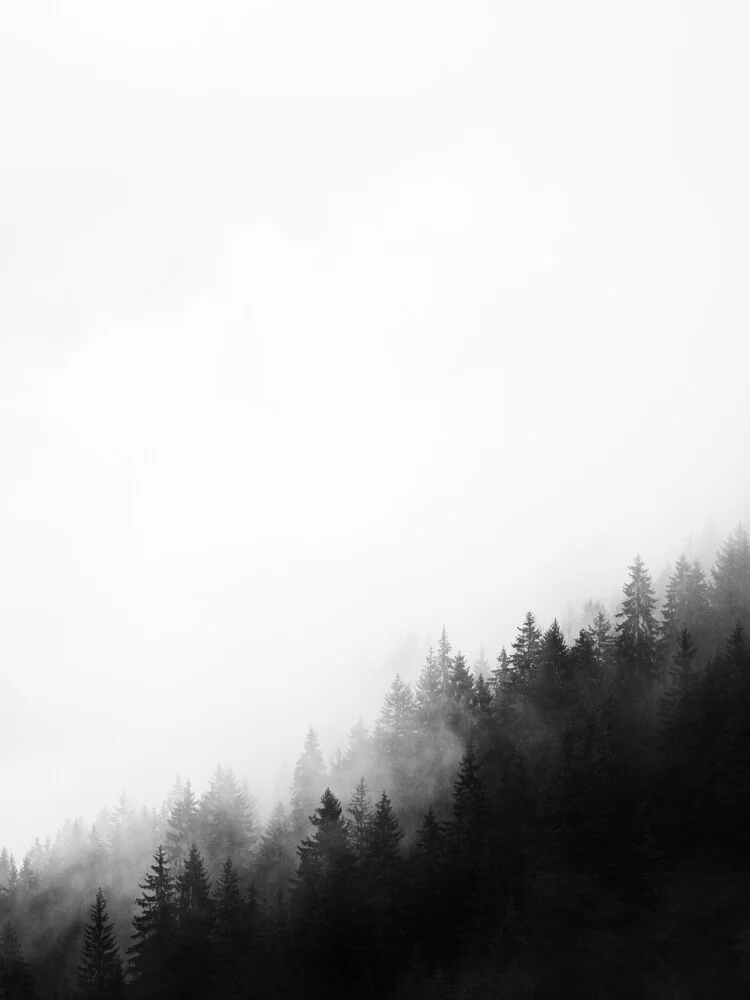 Misty Woods - fotokunst von Thomas Kleinert