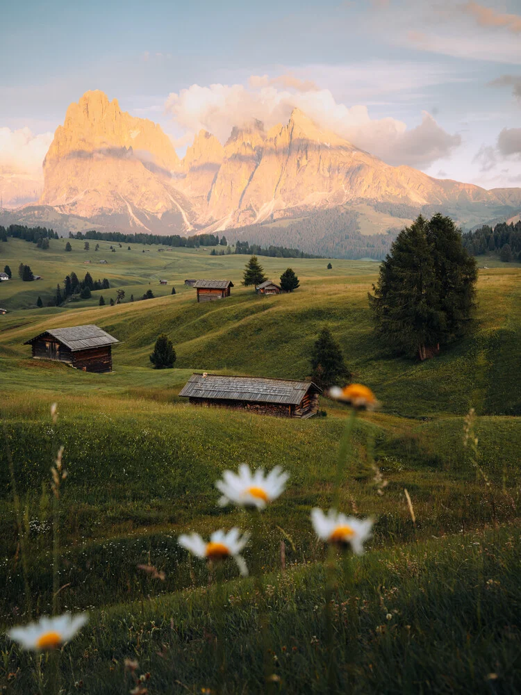 Alpe di siusi - fotokunst von André Alexander