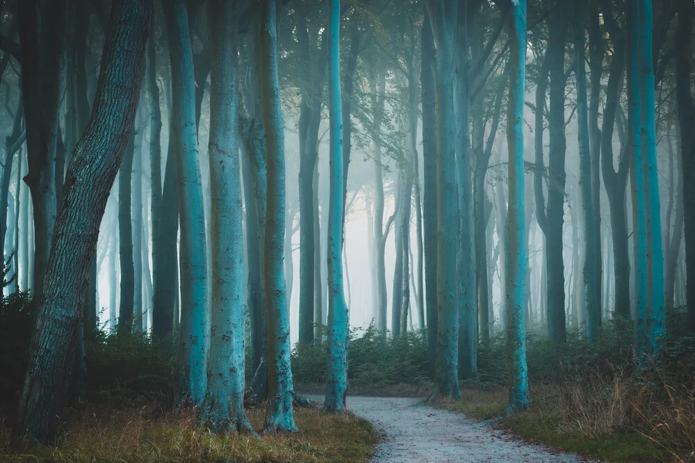 Nebel im Wald - fotokunst von Martin Wasilewski