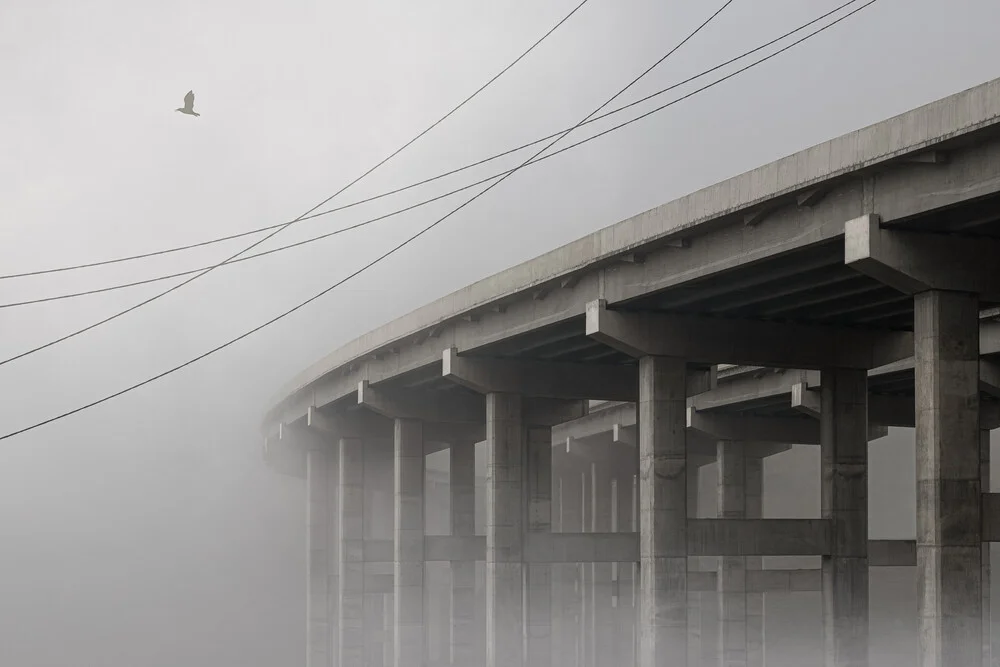 High Wire - fotokunst von AJ Schokora