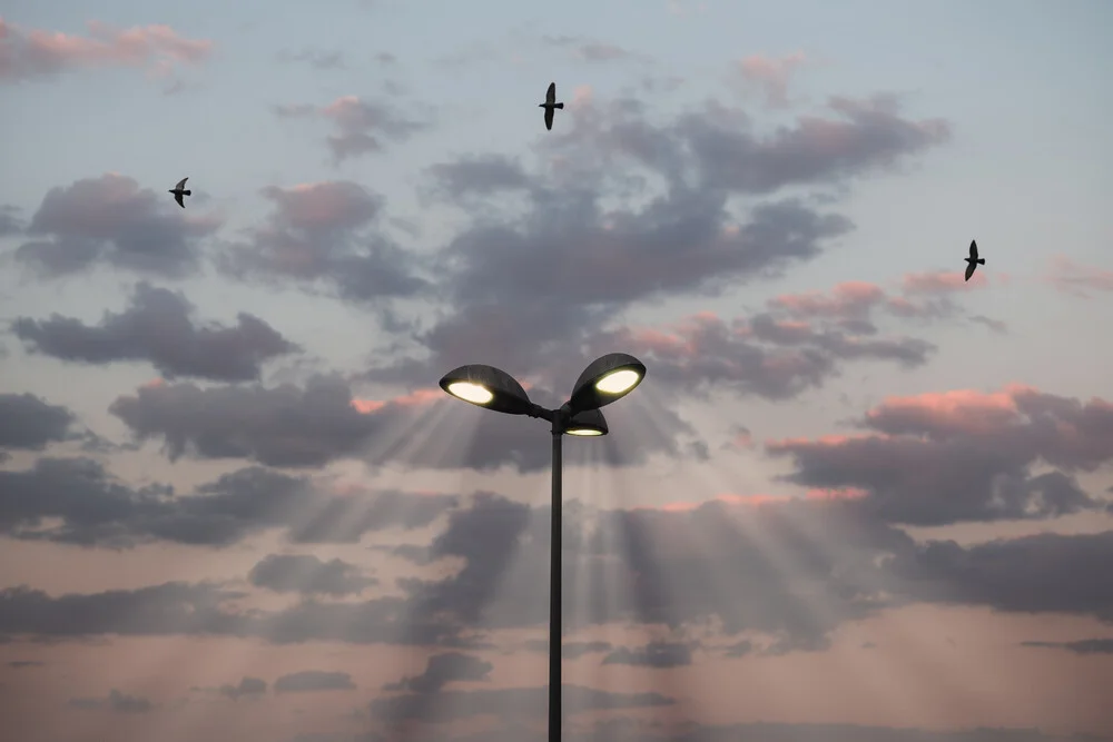 Parking Lot Trinity - fotokunst von AJ Schokora