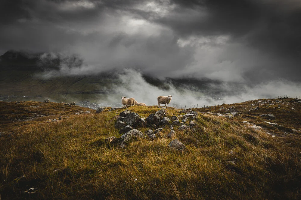 Schafe im Nebel auf den Färöer-Inseln - fotokunst von Eva Stadler