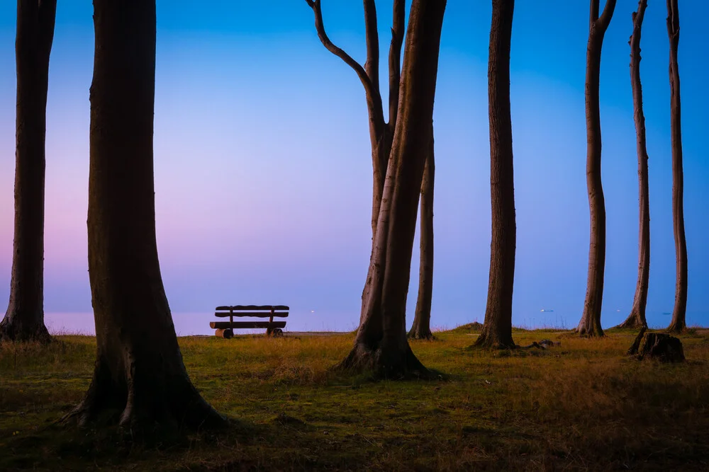 Bench with Sea View - Fineart photography by Martin Wasilewski