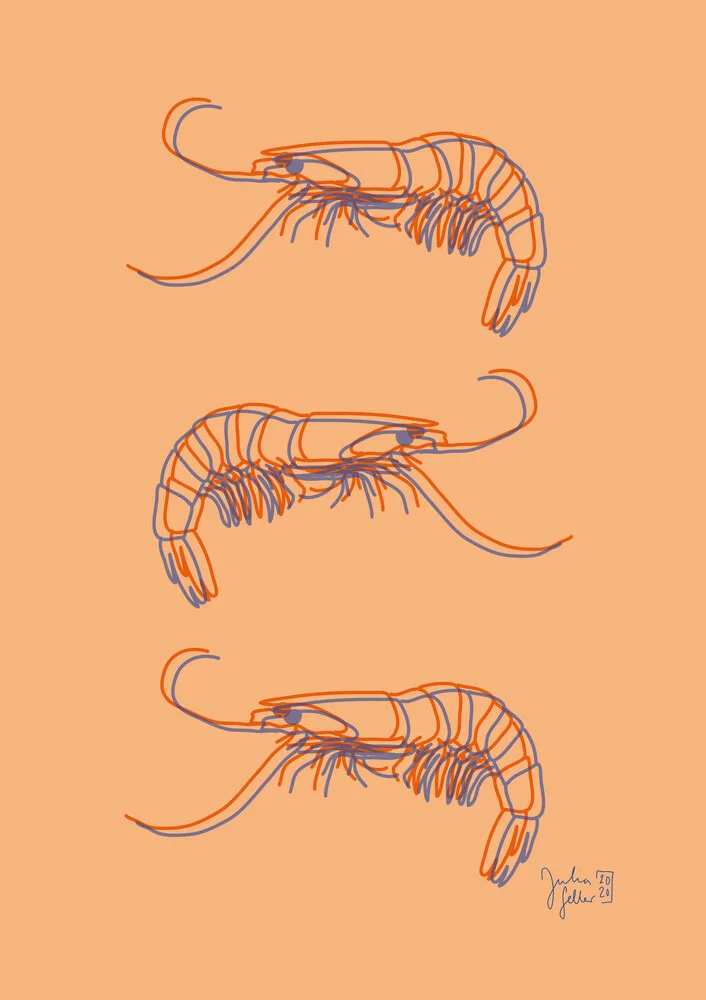 Shrimps - fotokunst von Julia Feller