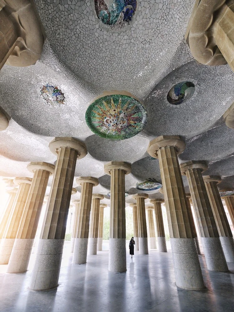 Maze of columns - fotokunst von Roc Isern