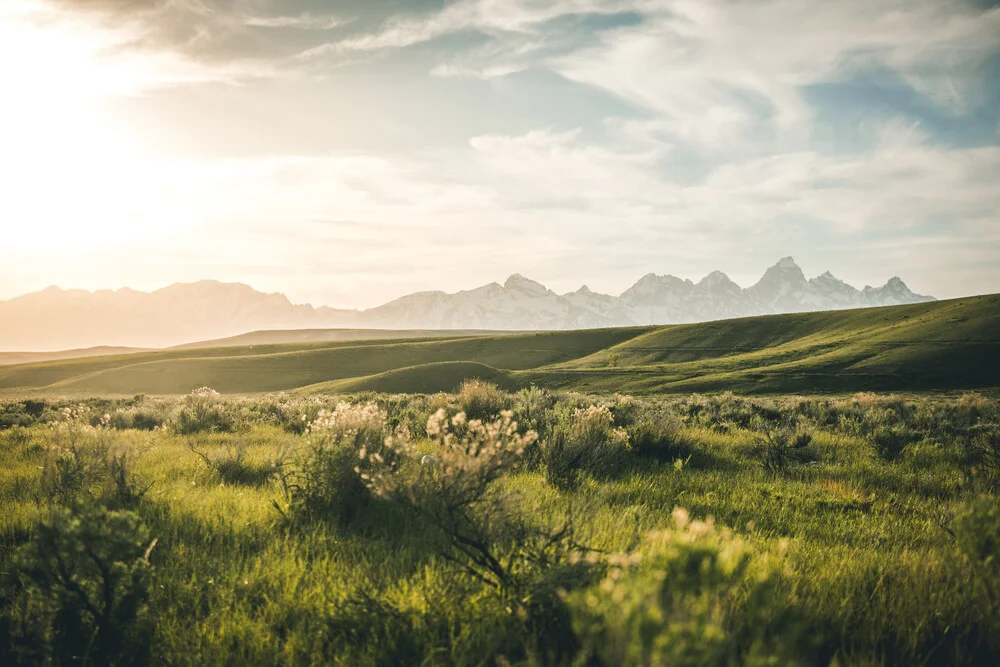 Grand Tetons And Grassland - fotokunst von Leander Nardin