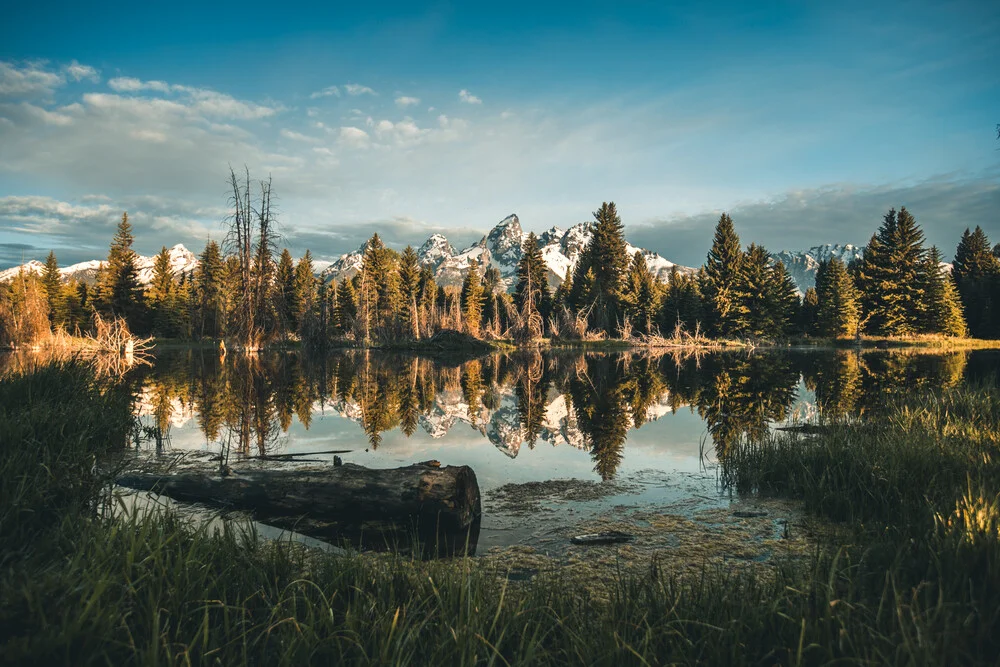 Schwabacher Landing In Wyoming - Fineart photography by Leander Nardin