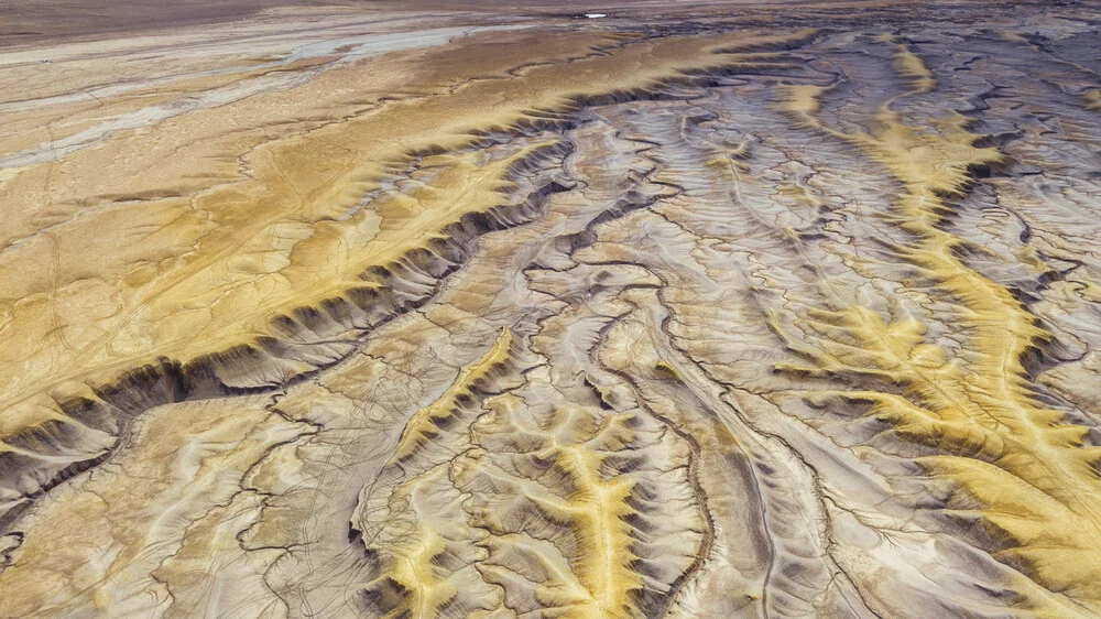 golden hills - fotokunst von Leander Nardin