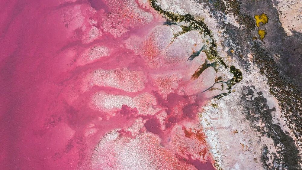 yellow dot on pink salt lake - fotokunst von Leander Nardin