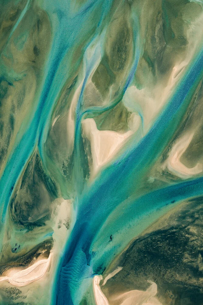 pastel veins - fotokunst von Leander Nardin