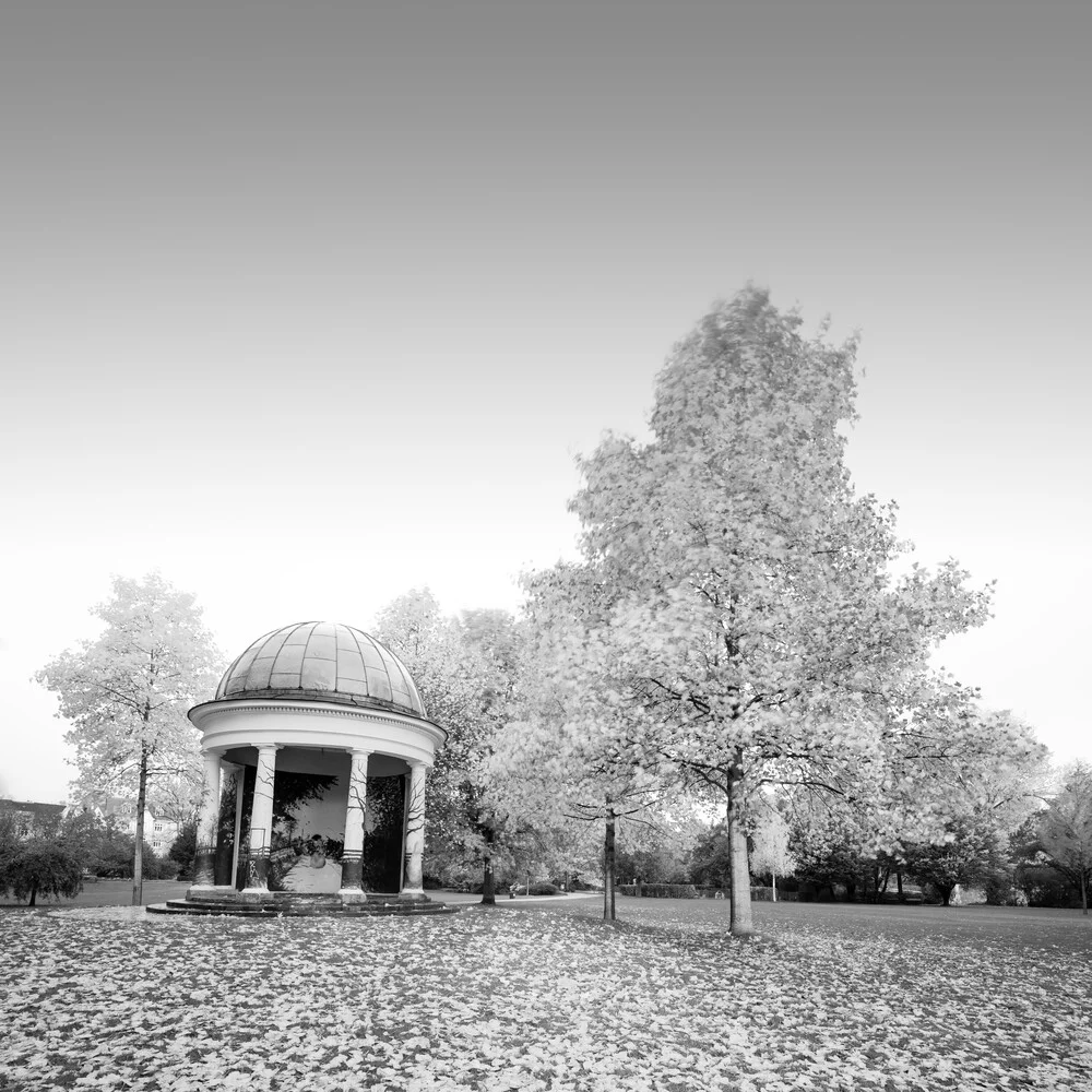 Sonnenaufgang Hayns Park Hamburg - fotokunst von Dennis Wehrmann