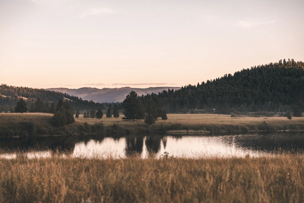 morning awakes - fotokunst von Leander Nardin