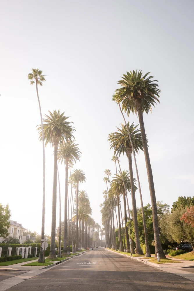 Palm Alley, Los Angeles - Fineart photography by Roman Becker