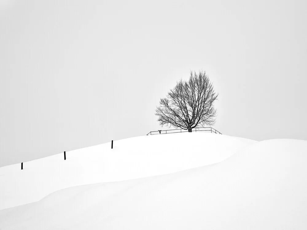 Winter im Allgäu - fotokunst von Ernst Pini