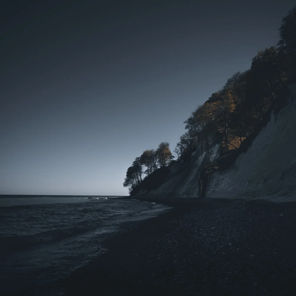 Last trees standing - Fineart photography by Tillmann Konrad