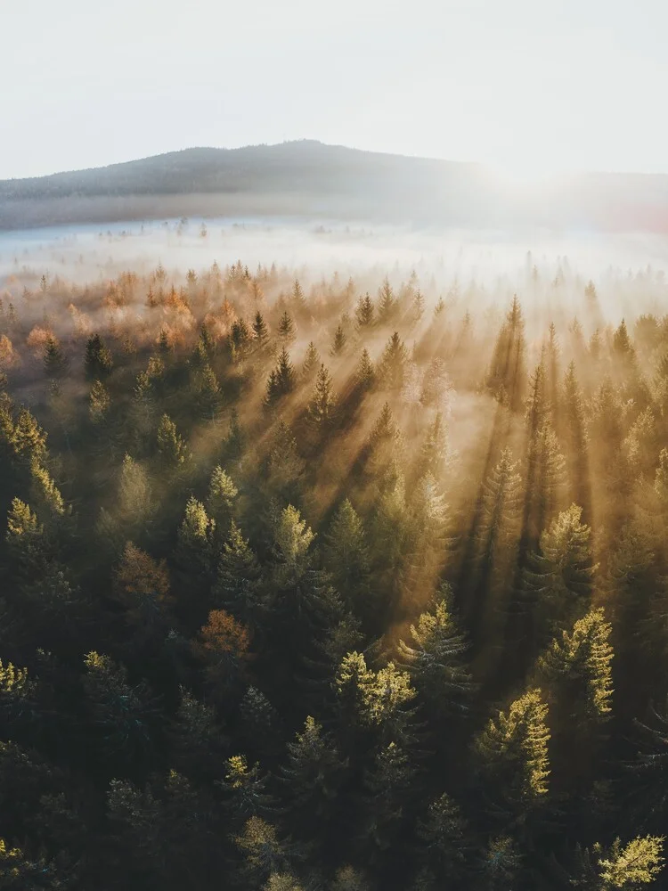 Sunrise over the Fichtel Mountains - Fineart photography by Patrick Monatsberger