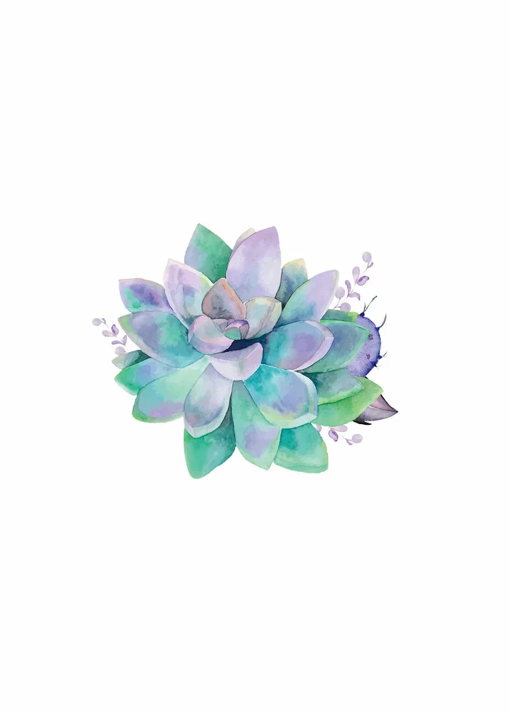 Aqua Succulent - fotokunst von Seven Trees Design