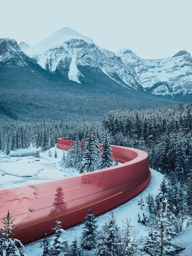 Wild Train - fotokunst von Lennart Pagel