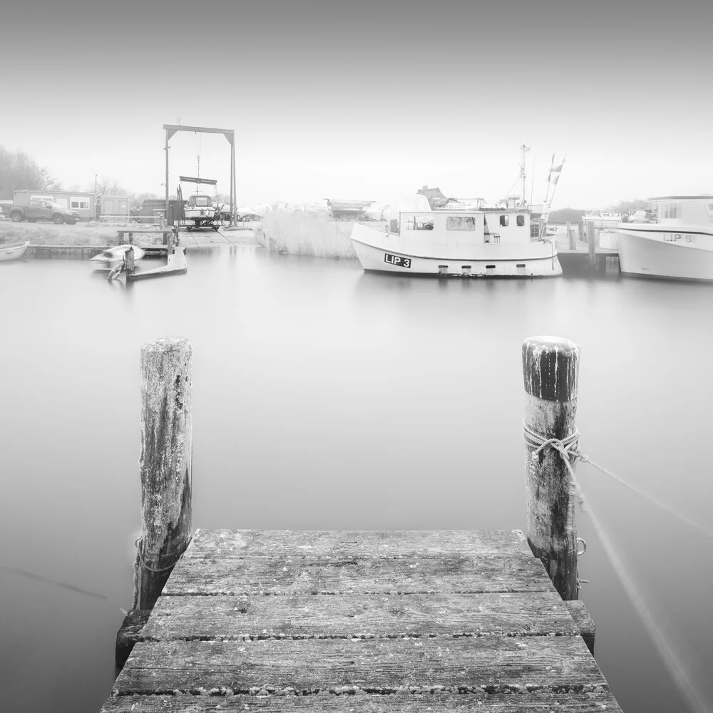 Web in mist - Fineart photography by Dennis Wehrmann