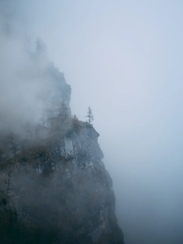 The lonely tree - Fineart photography by Sebastian ‚zeppaio' Scheichl