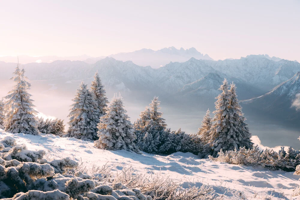 Der erste Schnee - fotokunst von Sebastian ‚zeppaio' Scheichl