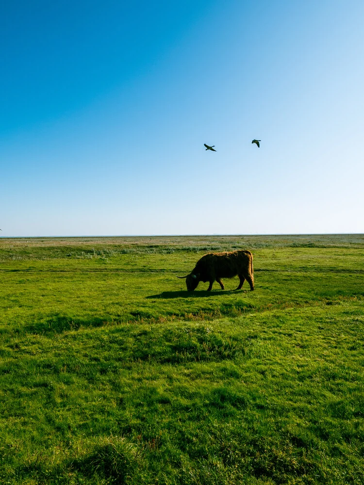 Sande #7 - Am Deich auf Langeoog - Fineart photography by Vision Praxis