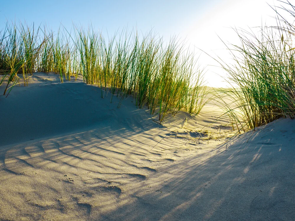 Sande #21 - Düne auf der Nordseeinsel Spiekeroog - fotokunst von Vision Praxis