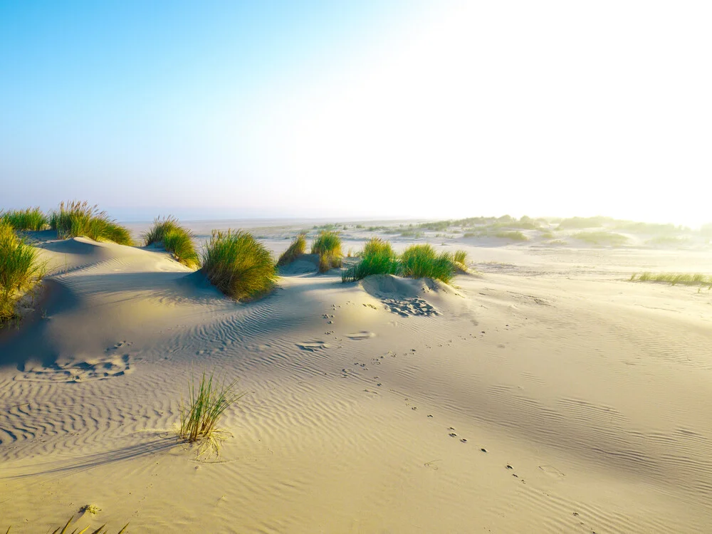 Ostfriesische Inseln, Langeoog, Ostfriesland, Strand, Beach, Nordsee - Fineart photography by Vision Praxis