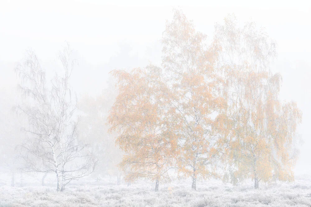 Kalter Herbstmorgen - fotokunst von Felix Wesch