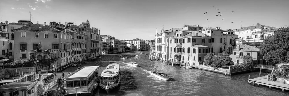 Blick auf den Canal Grande in Venedig - fotokunst von Jan Becke