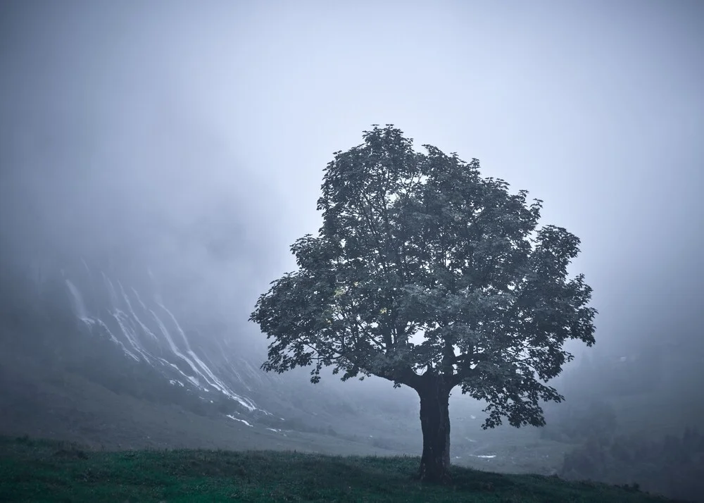 Solitude - Fineart photography by Alex Wesche