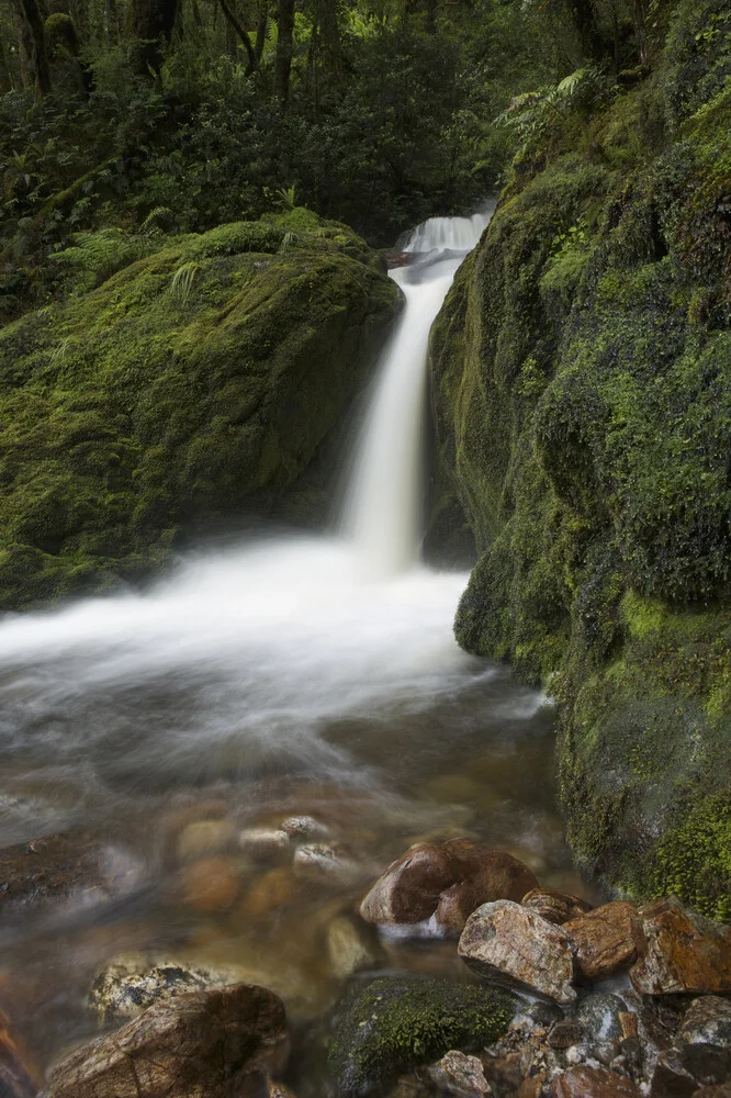 Wasserfall auf dem Dusky Track in Neuseeland - fotokunst von Stefan Blawath