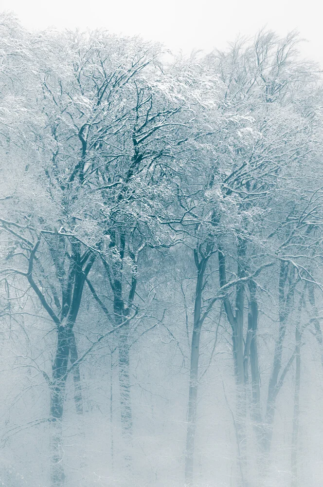 Winterwald - fotokunst von Sebastian Worm