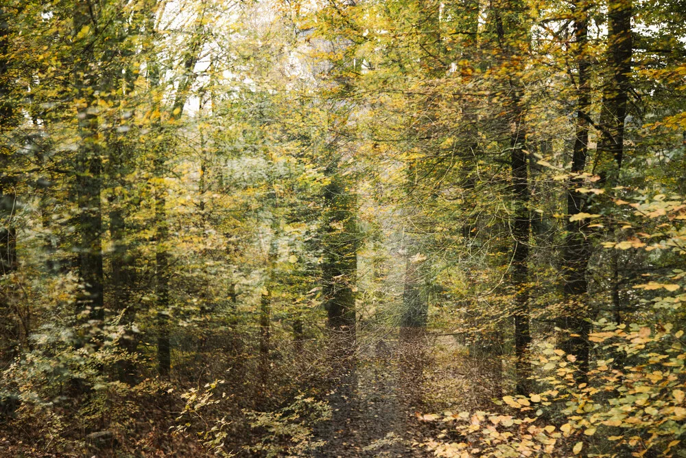 Herbst im Teutoburger Wald - fotokunst von Nadja Jacke