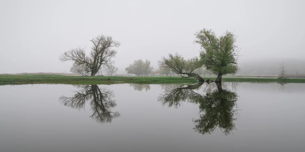 Flusslandschaft an der Oder II - fotokunst von Thomas Wegner