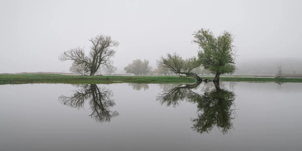 River landscape on the Oder river II - Fineart photography by Thomas Wegner