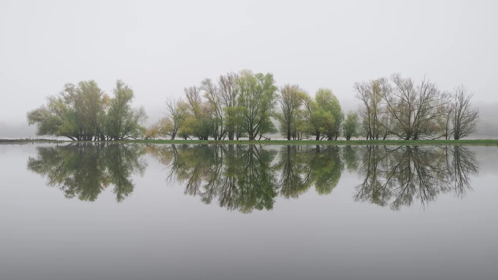 Flusslandschaft an der Oder - fotokunst von Thomas Wegner