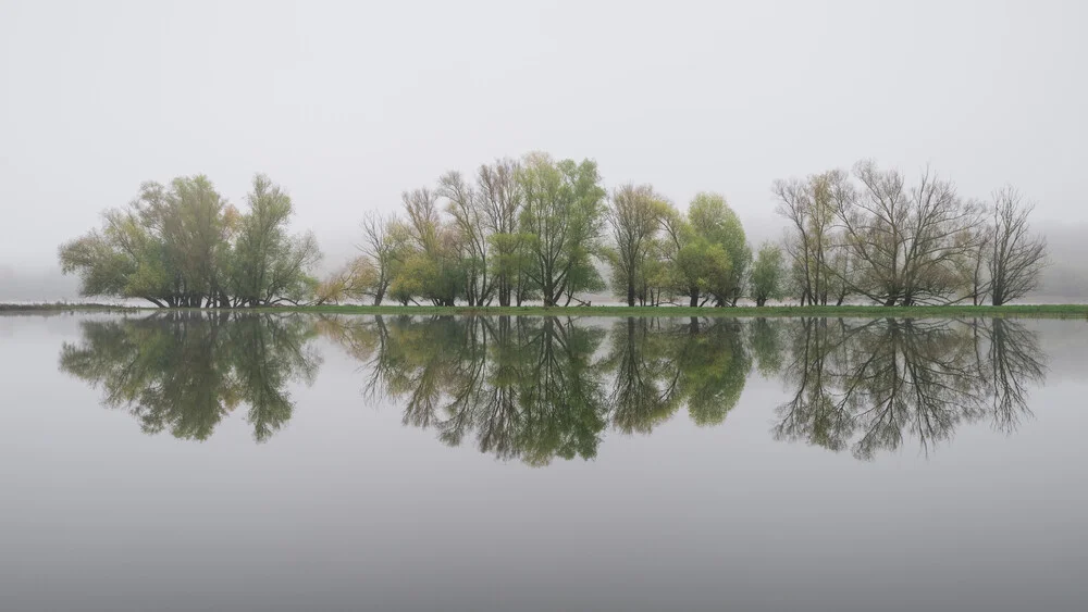 River landscape on the Oder river - Fineart photography by Thomas Wegner