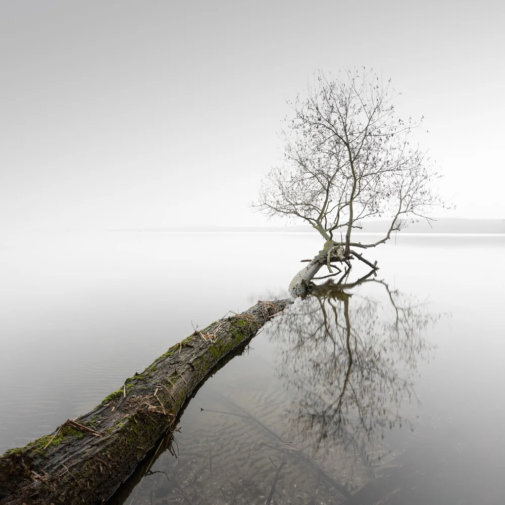 The Wind Stands Silent - Fineart photography by Ronny Behnert