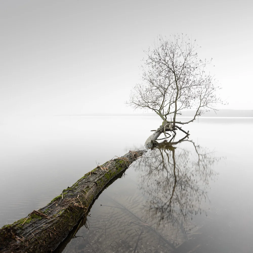 The Wind Stands Silent - fotokunst von Ronny Behnert