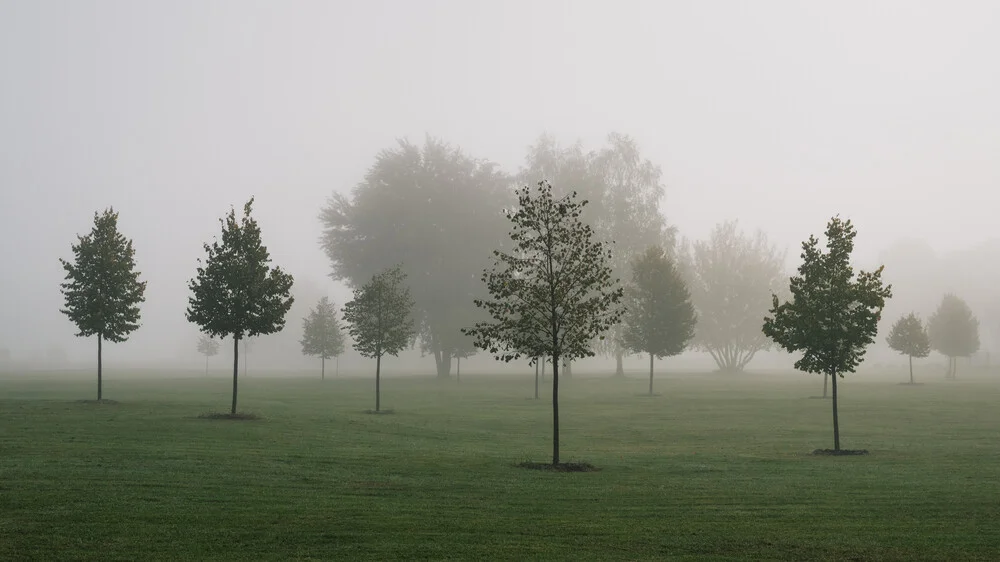 Herbstlandschaft II - fotokunst von Thomas Wegner