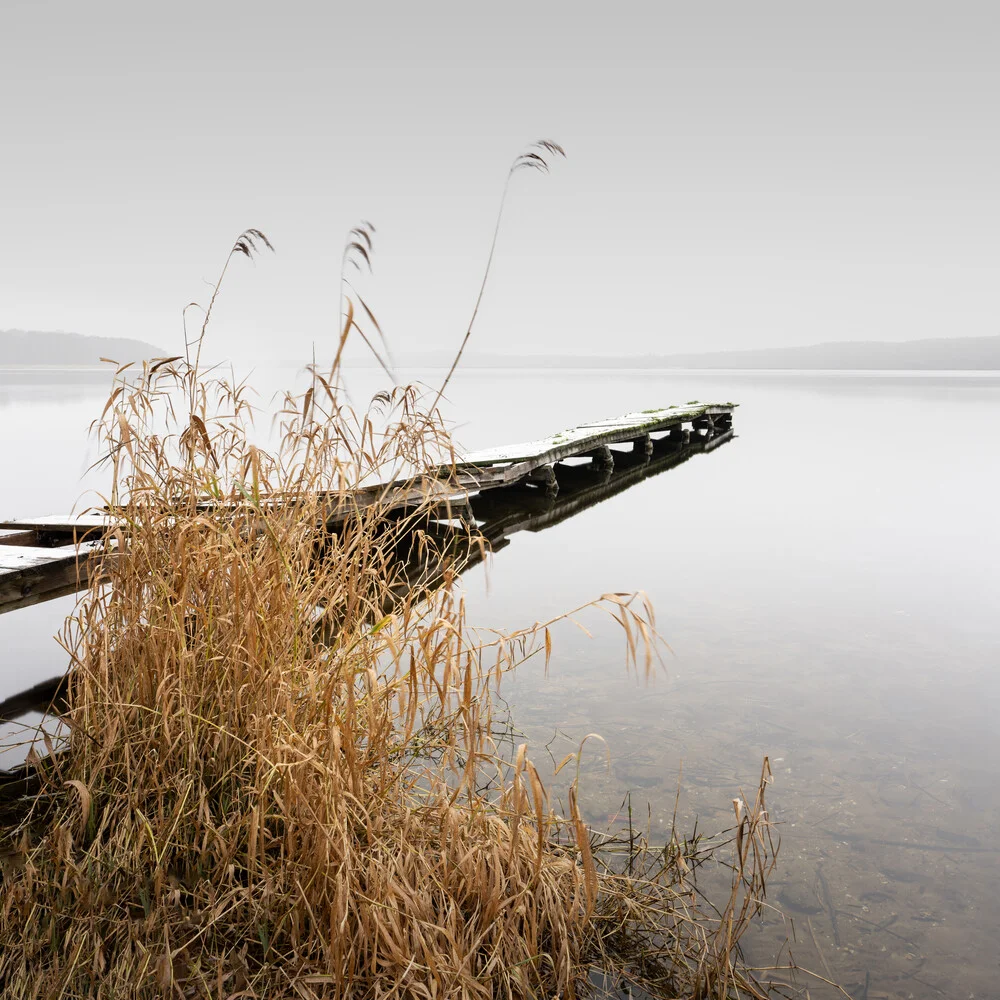 Empire of the Lake - fotokunst von Ronny Behnert