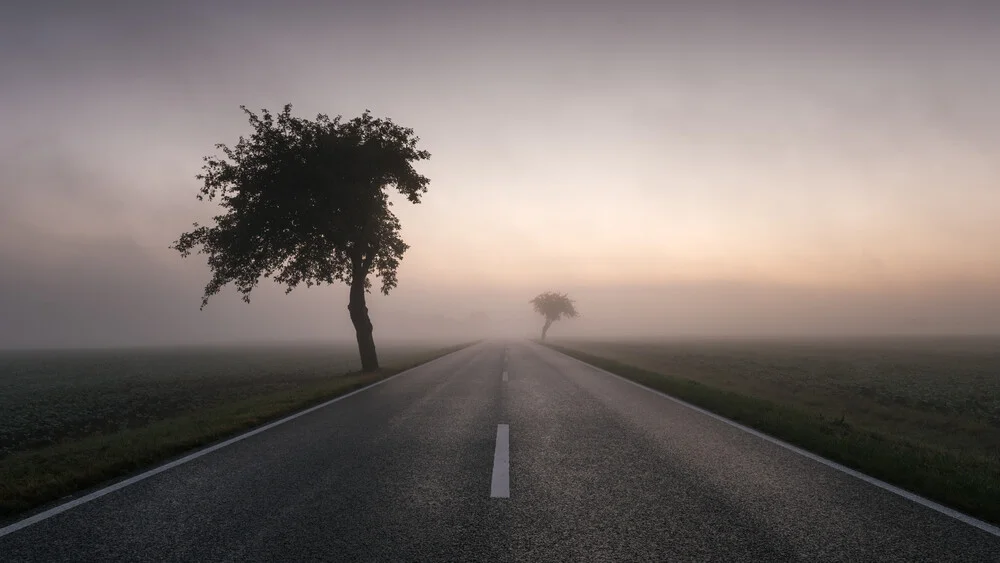 Bäume am Straßenrand III - fotokunst von Thomas Wegner