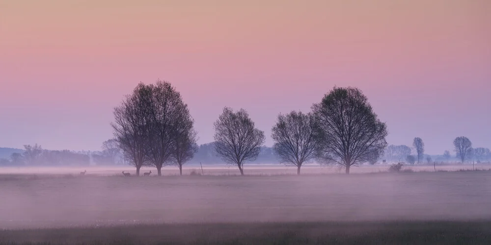 Sunrise in the nature park - Fineart photography by Thomas Wegner