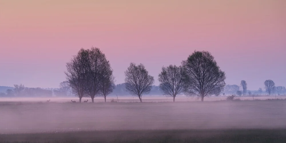 Sonnenaufgang im Naturpark - fotokunst von Thomas Wegner