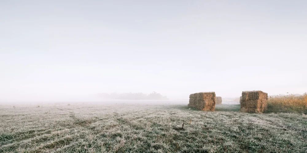 Von Reif bedeckte Winterlandschaft - fotokunst von Thomas Wegner