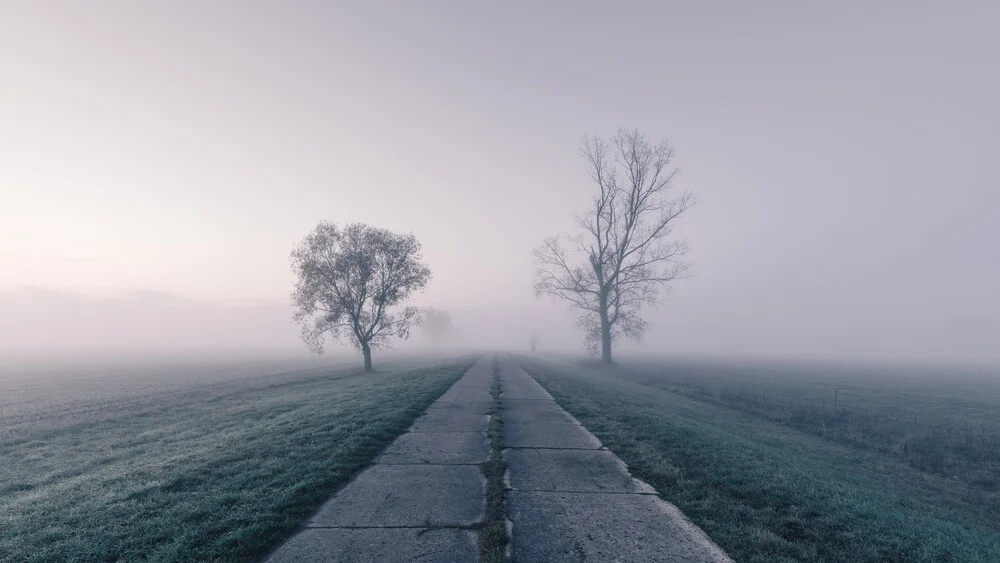 Bäume am Straßenrand - fotokunst von Thomas Wegner