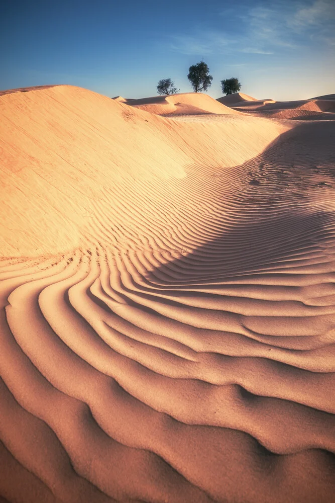 Wahiba Sands Wüste mit Dünen und Bäumen - fotokunst von Jean Claude Castor