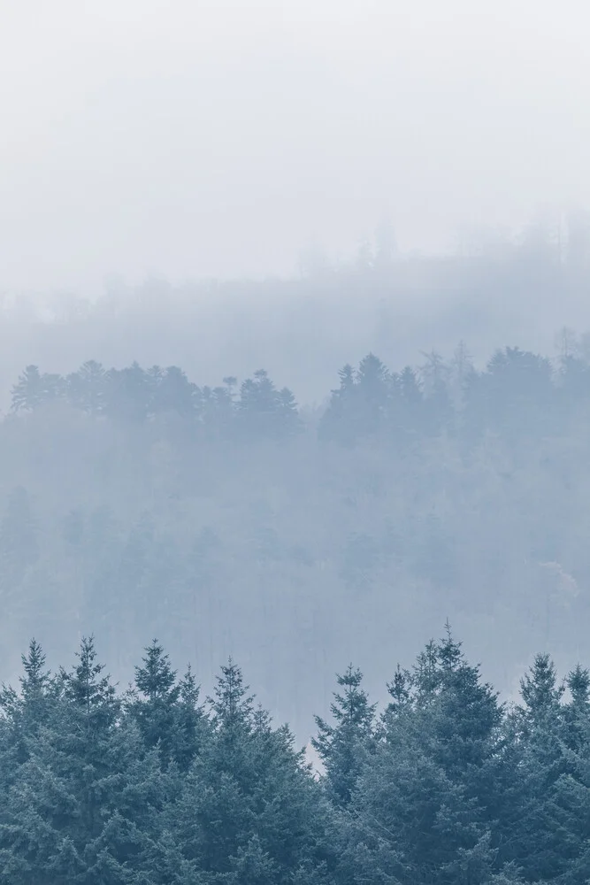 Fotokunst von Sebastian Worm: Nebel über sanften Hügeln im Rheinland-Pfalz.