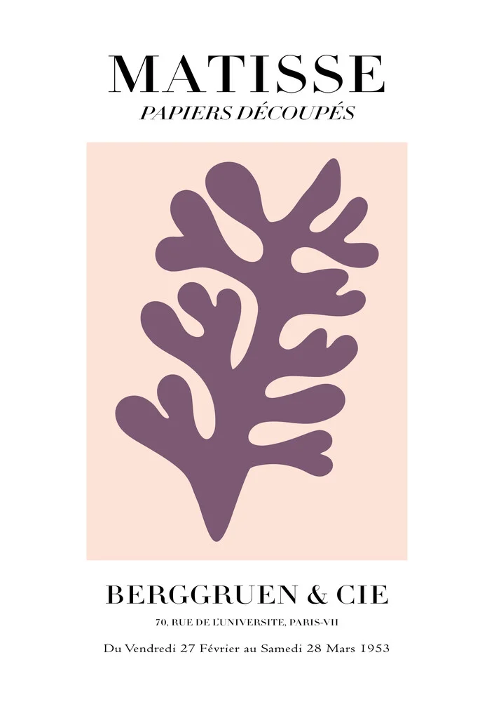 Matisse – botanical design, pink / purple - Fineart photography by Art Classics